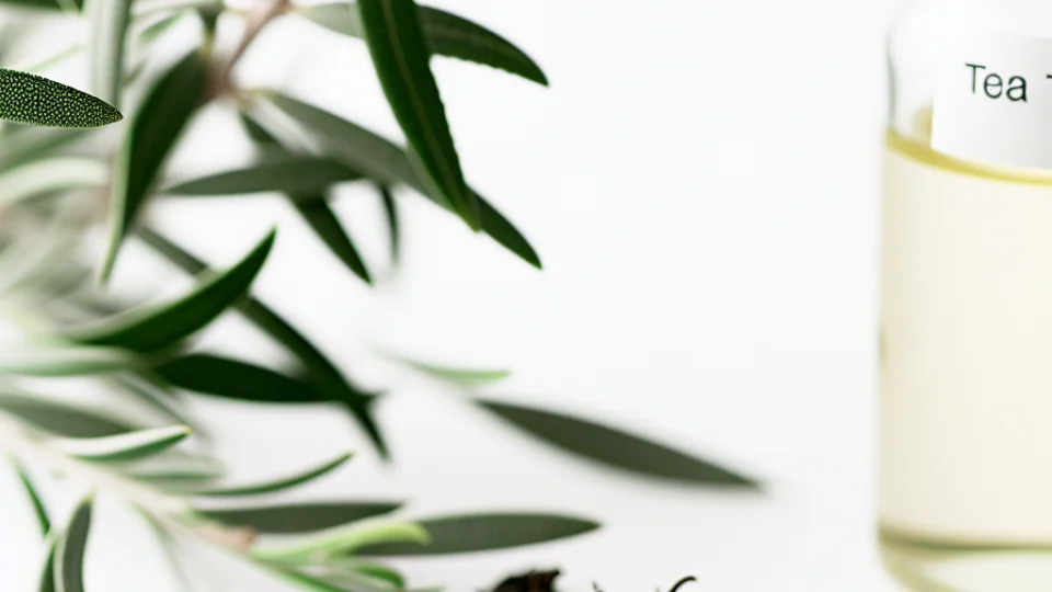 What Are the Benefits of Tea Tree Oil for the Skin?